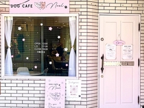 Dog cafe noel